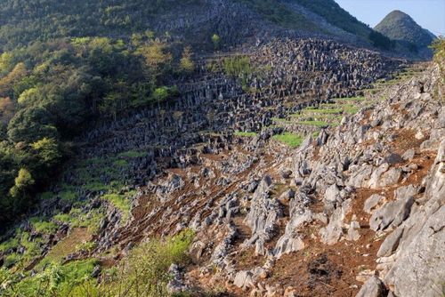 广西石漠化地区生态型土地整治,建议生态农业的生产!