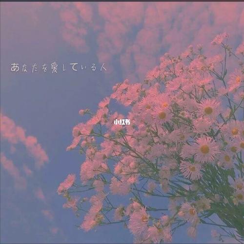 超治愈背景图 森系 第二弹_森女系_治愈_素材_壁纸