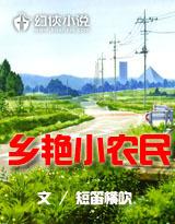 乡艳小农民