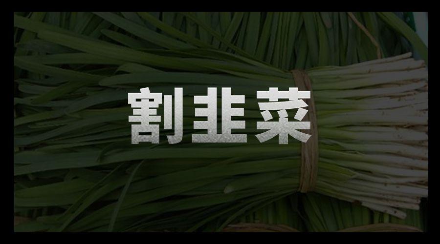 割韭菜的正确方式