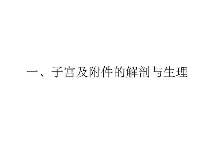 子宫及附件解剖及生理.pptx
