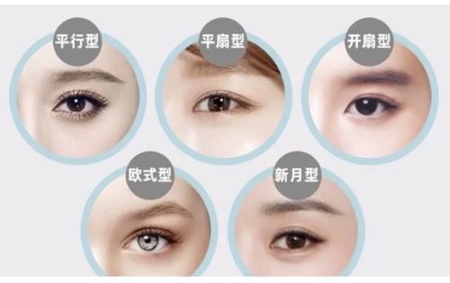 4款双眼皮闭眼形状图片大全