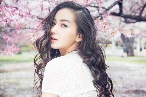 angelababy樱花壁纸_美丽樱花下的angelababy