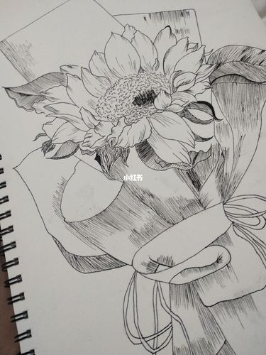 向日葵_手绘_针管笔_文化_绘画