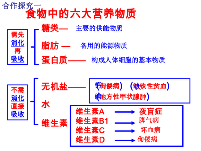 2,描述人体消化系统的组成;3,概述食物的消化和营养物质的吸收过程;4