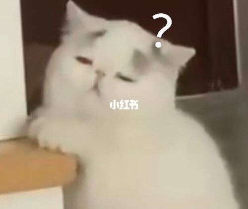 你能用到的可爱逗人表情包_表情包_素材_表情包