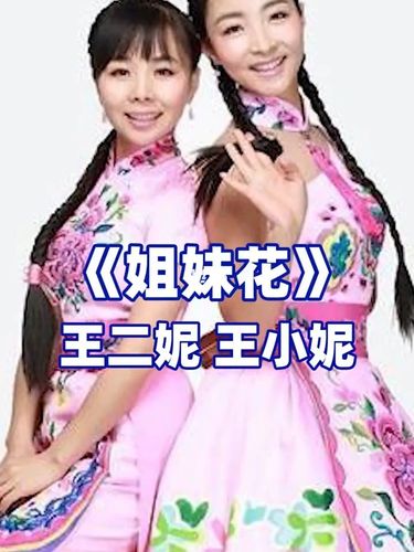 王二妮 王小妮_音乐_娱乐_音乐_音乐现场/mv