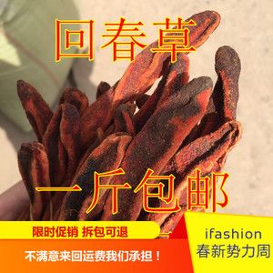 回春草顶天柱