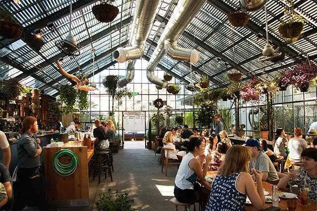 开家这样的花房餐厅从眼睛到舌尖都极度舒适