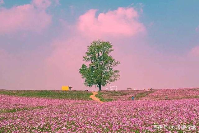 适合旅游时发的朋友圈文案,点赞率超高,拯救你的朋友圈