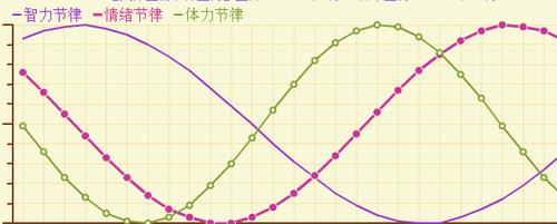 人体节律的分类