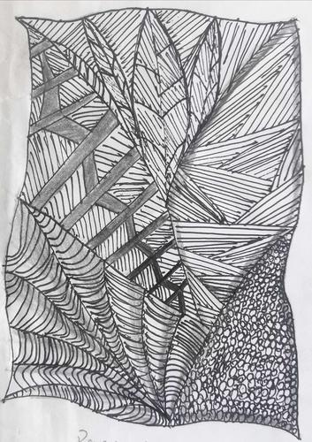 【坡头区一中】《点与线的魅力——禅绕画》初一学生美术作业展