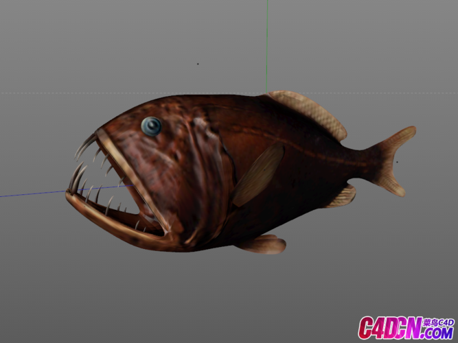 大嘴尖牙鱼c4d模型 fangtooth