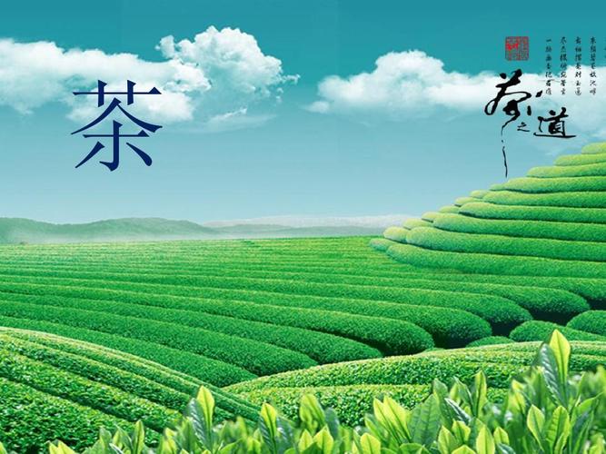 免费文档 所有分类 资格考试/认证 ppt模板 茶ppt 求下载!