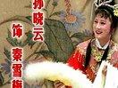 庐剧秦雪梅观画(孙晓云 昂小红)