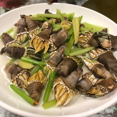 洞头海鲜城-图片-温州美食-大众点评网