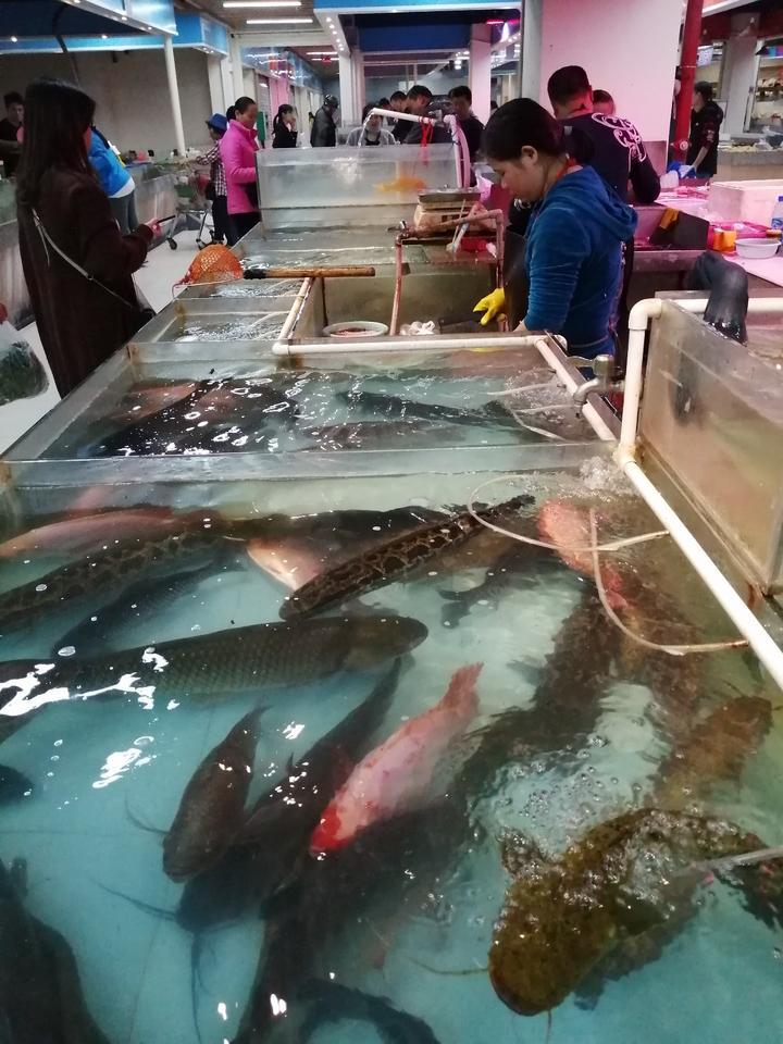 【新年轻度假】南宁这个菜市场,干净明亮菜品多,但人不多