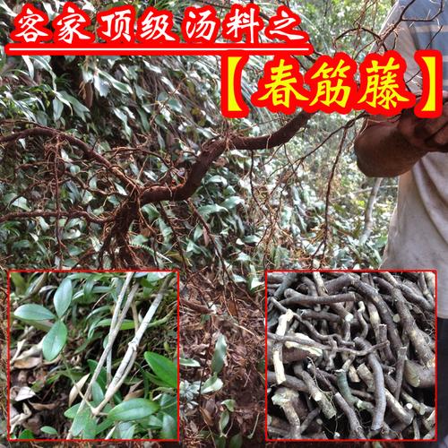 春筋藤 客家汤料 瑶山汤料 食材  椰香味