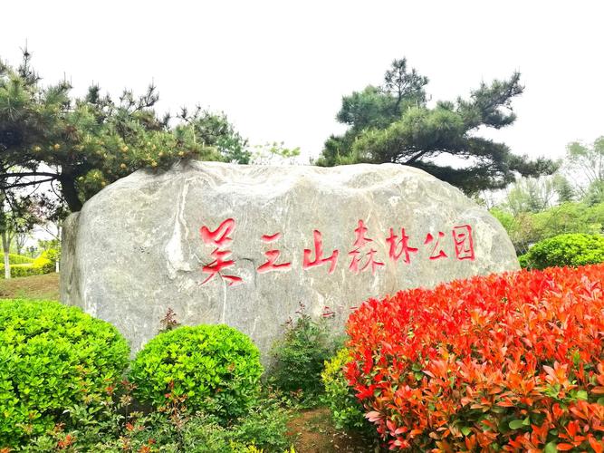 吴王山森林公园花卉掠影