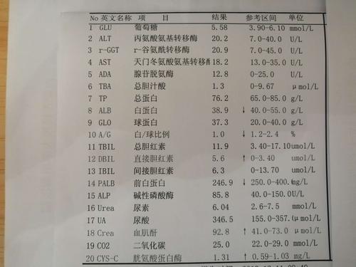 血糖肝肾功能检查