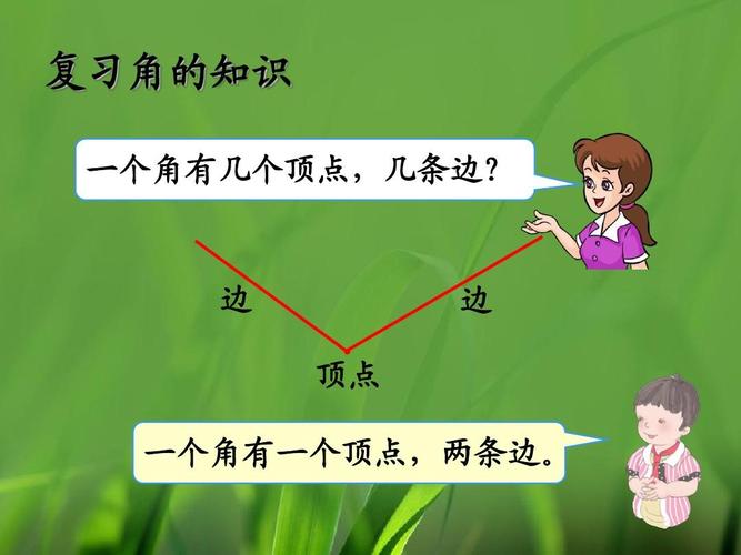 复习角的知识 一个角有几个顶点,几条边?
