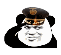 敬礼:respect - 搞笑配字qq表情图片大全