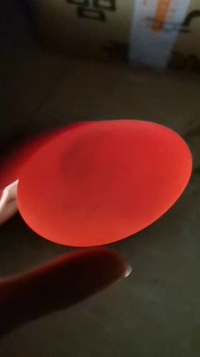 为什么孵化了十多天的鹅蛋没有看见血丝,是不是坏了?