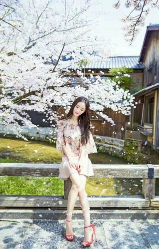 杨幂日本樱花