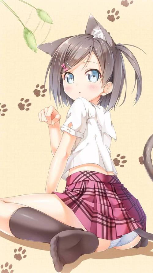 变态王子与不笑猫