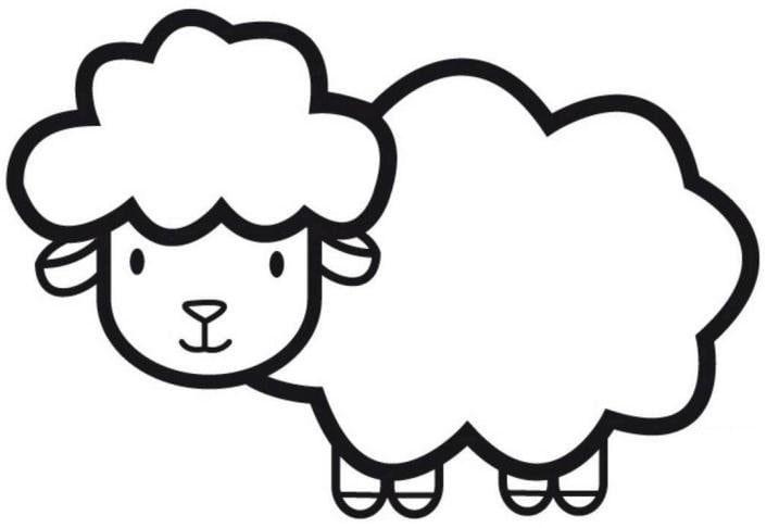 温顺的小绵羊简笔画图片_小绵羊儿童绘画作品图集 绵羊简笔画