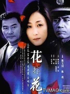 花非花剧情介绍