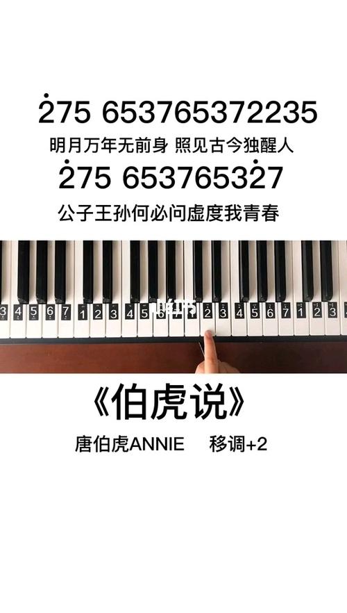 《伯虎说》简谱教程_简谱_教程_钢琴_钢琴简谱_娱乐
