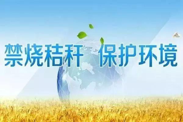 森林防火 秸秆禁烧 ——杉木乡中心学校专题宣传