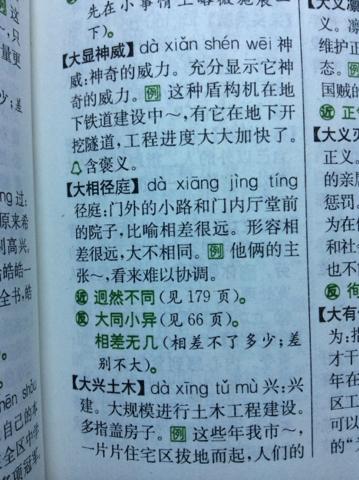 (大相径庭)是什么意思?^o