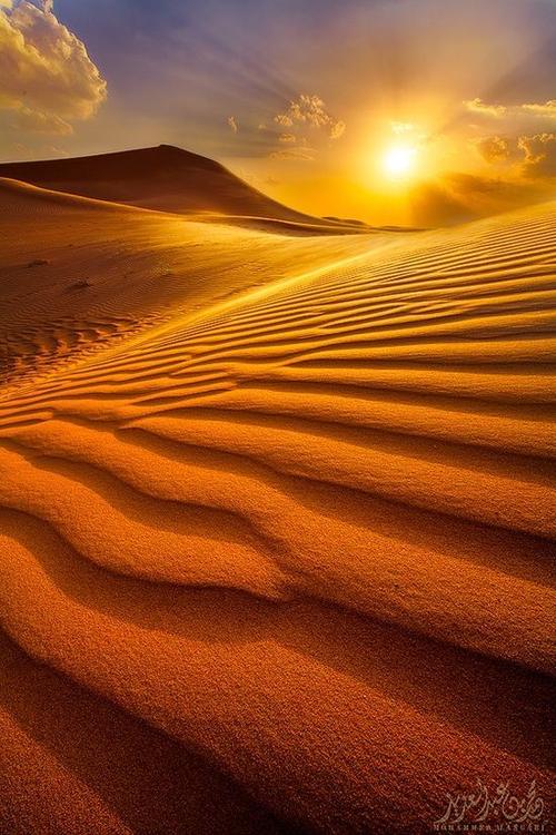 "light of the desert" 沙漠之光