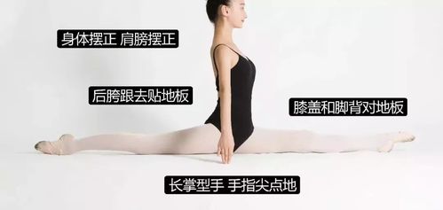 【涨姿势】必收藏的中国舞基本功图解