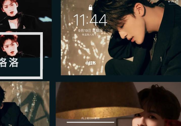 何洛洛_壁纸_何洛洛_娱乐_明星娱乐资讯