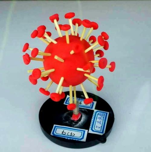 学生制作的病毒模型