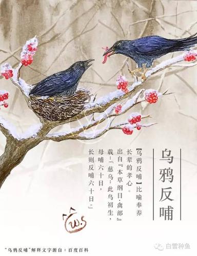 感恩节主题-乌鸦反哺-水彩