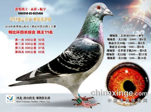 2018年唐山阳光俱乐部获奖