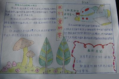 发现身边的爱手抄报