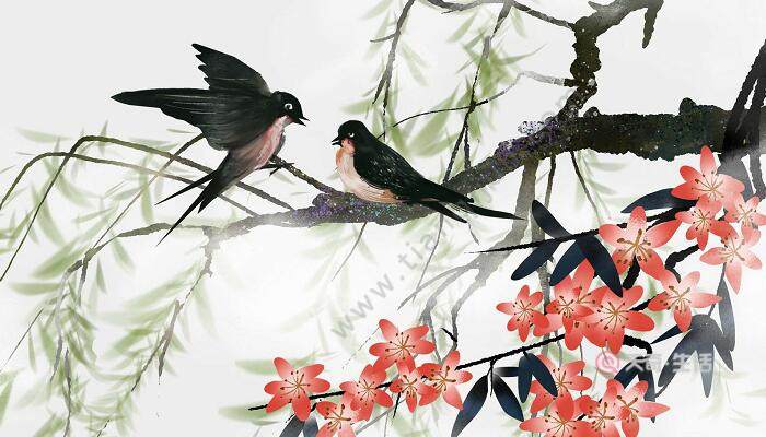 三年级燕子,三年级燕子按什么顺序写的,三年级燕子按什么顺序写