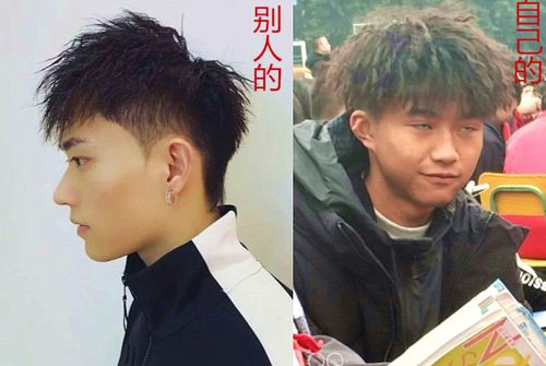 别人的锡纸烫是嘻哈风,怎么到我这儿成了"搞怪风"?脑瓜疼!