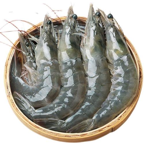 赛卡伊青岛大虾超大海虾新鲜海捕大虾海鲜非基围虾鲜活冷冻白虾对虾