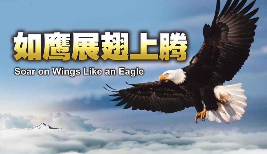 有框, 玻璃 外框材质 : 实木 图片形式 : 平面 文字 : 如鹰展翅上腾