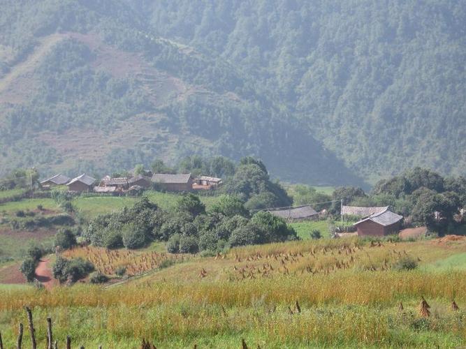 于云南省永胜县 a target="_blank" href="/item/羊坪彝族乡/4404640"