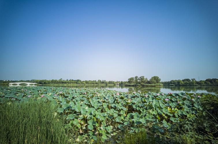 北京南海子公园景色美