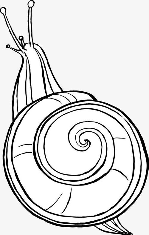 蜗牛
