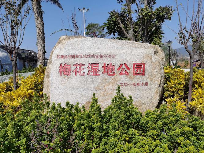 来到梅花湿地公园,感受清新的原生态环境