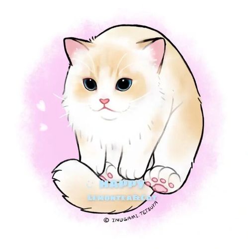 是爱神的q版呀 | 奶油色布偶猫_布偶猫_钥匙扣_头像_火焰色布偶_素材